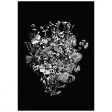 la bouquet poster Geen categorie
