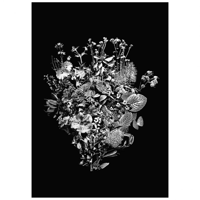 la bouquet poster Geen categorie