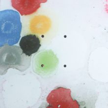 Colours pop skateboard – 8.25 8.25
