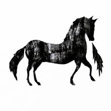 Biologische t -shirt – Firehorse White T- shirts Biologische t -shirt – Firehorse White T- shirts