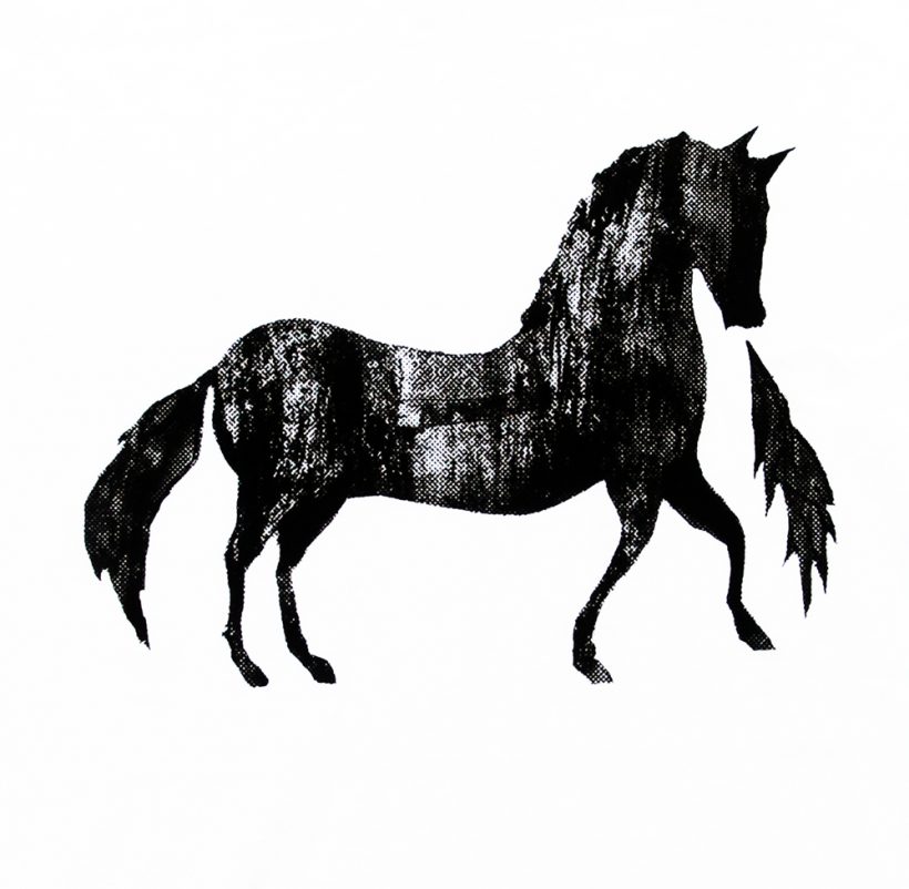 Biologische t -shirt – Firehorse White T- shirts Biologische t -shirt – Firehorse White T- shirts