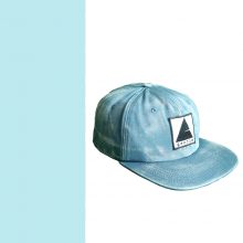 Skateboardpet