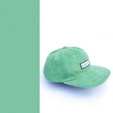 Skate cap groen Skate caps skate cap