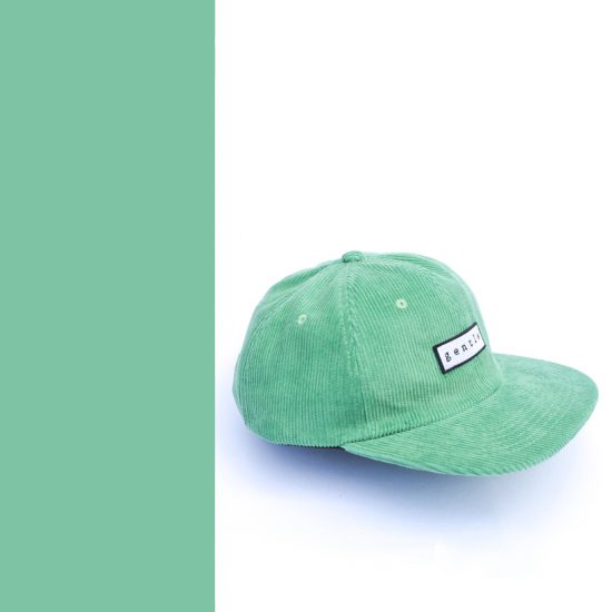 skate cap