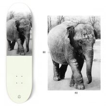 Pop skateboard olifant Skateboard decks