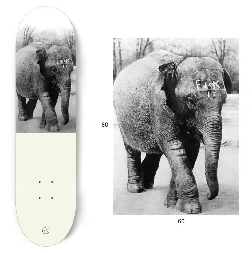 Pop skateboard olifant Skateboard decks