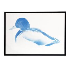 Pop Skateboard Sitting Ducks (incl. Risoprint) Geen categorie pop skateboard riso