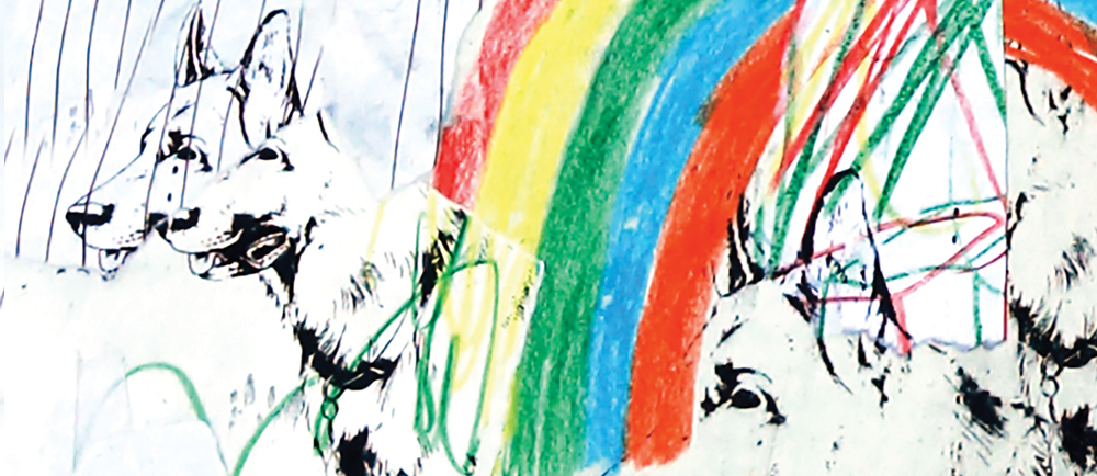 Skateshop Sabotage
