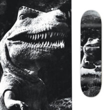 custom skateboard