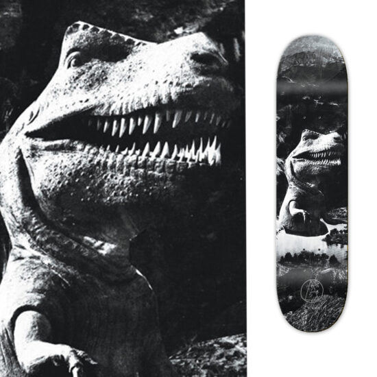 custom skateboard