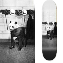waiting skateboard – 8.25 Pop skateboards gentlemenskateboards