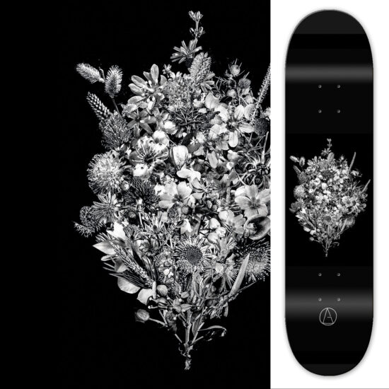 Pop (sicle) skateboard flowetr – 8.125 8.125 Gentle skateboards